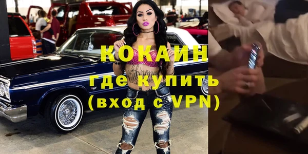 гидра Белокуриха