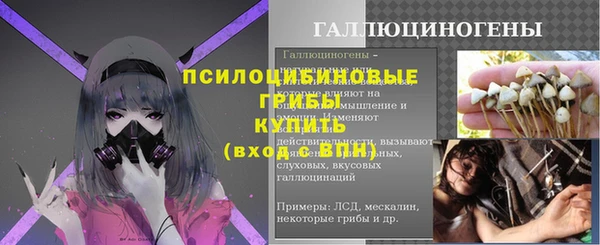 гидра Белокуриха