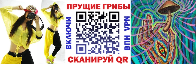 наркошоп  Болотное  ОМГ ОМГ зеркало  Псилоцибиновые грибы GOLDEN TEACHER 