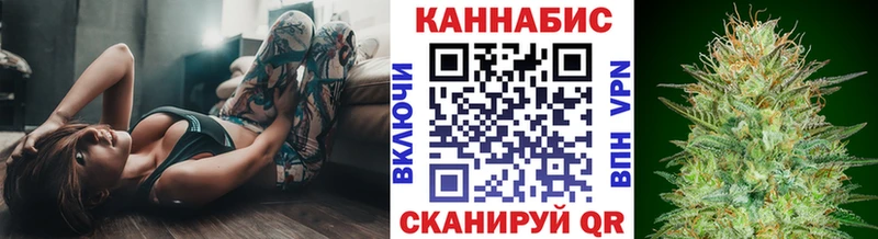 Канабис OG Kush  Болотное 